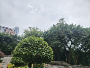 园林绿植景观
