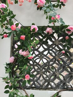 蔷薇爬满镂空铁艺花架