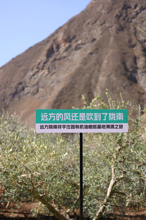 沙漠中的绿色路牌