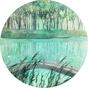 湖畔木桥旁的清幽景致