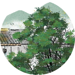 中式园林景致的绿意一角