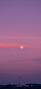 粉紫月夜