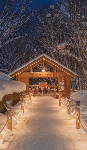 雪夜林间门庭