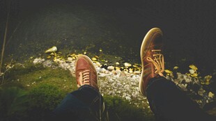 双脚休憩于花草间