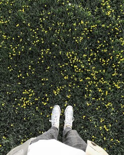 漫步花丛中的双足
