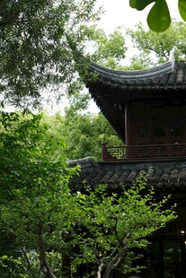 林中古建尽显东方韵味