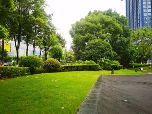 城市中的静谧绿意公园