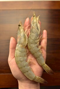 大虾