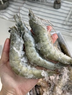 青虾