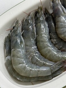 大虾