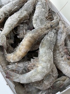 冷冻大虾