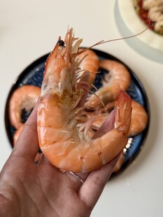 手捧鲜大虾