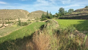 田野间的自然乡村景致