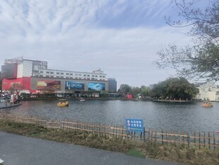 芜湖镜湖公园湖畔城市风光景致