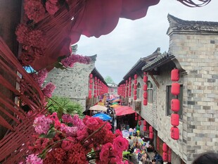 西河古镇古巷繁花间的中式建筑