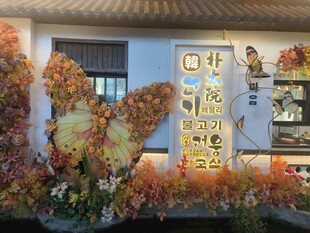 芜湖古城屋檐下的多彩花卉景观