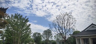 蓝天白云下的房屋景致