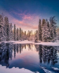 湖畔森林