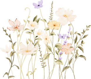 手绘清新花卉插画