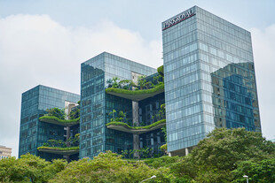 绿植环绕的现代玻璃建筑