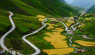 山间蜿蜒公路与金黄田野