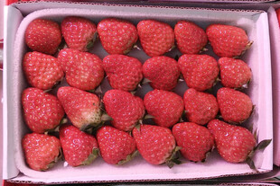 一盒新鲜诱人的红颜草莓