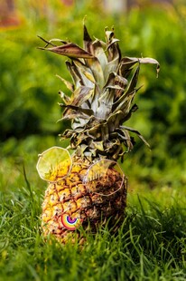 草地上的新鲜菠萝