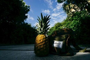 巨大菠萝雕塑置于户外环境