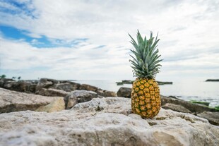岩石上的菠萝