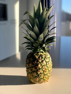 室内摆放的新鲜菠萝