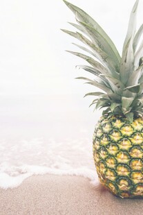 沙滩上的菠萝