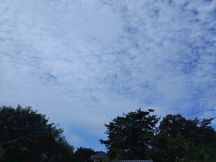 蓝天绿树间的美丽云景