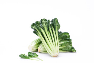 新鲜小白菜翠绿惹人爱