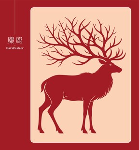 麋鹿