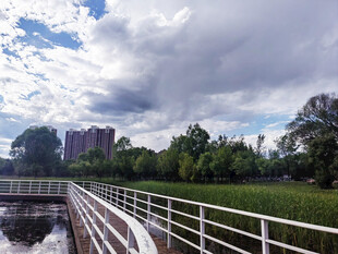 河畔风景
