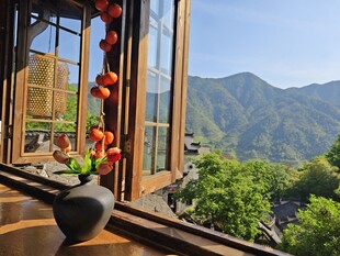 窗边景致  远山绿植相映