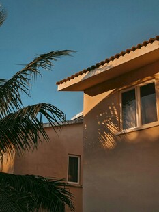 夕阳下的房屋与棕榈树