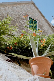 陶盆绿植装点古朴建筑