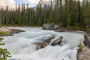 山间湍急溪流与茂密森林