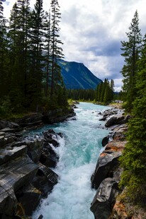 山间湍急溪流与茂密森林
