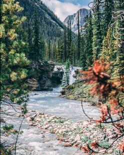 山间溪流旁的多彩自然景观