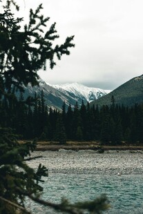 山间河畔的静谧自然景致