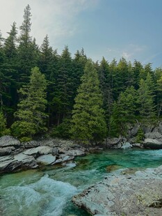 山间清澈溪流与茂密森林