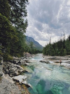 山间清澈溪流与葱郁树林