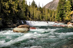 山间湍急溪流与茂密树林