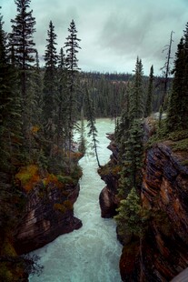 山间湍急河流与茂密松林