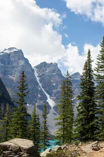 壮丽山景与葱郁森林