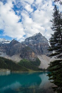 高山蓝湖旁的葱郁树木