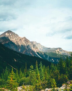 山林间的巍峨壮丽山峰