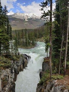 山间湍急河流与茂密树林